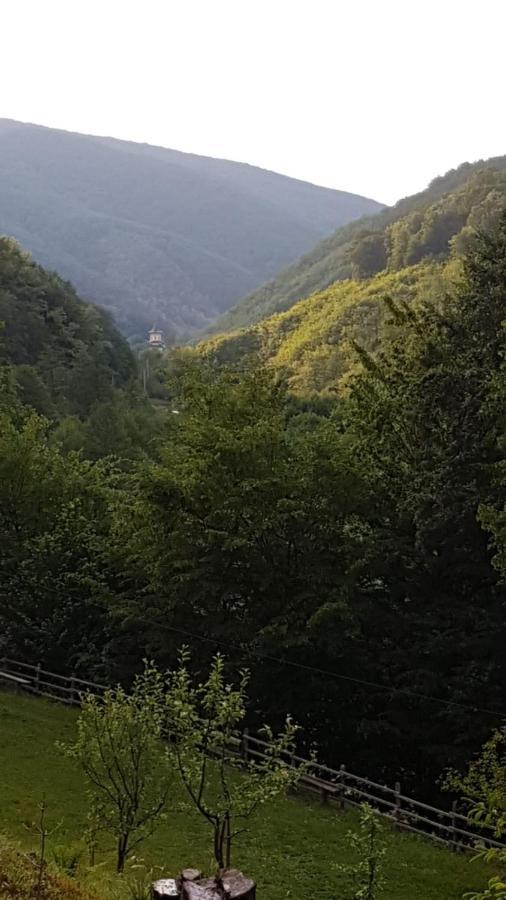 Pensiunea Valea Tonii Strungari Exterior foto