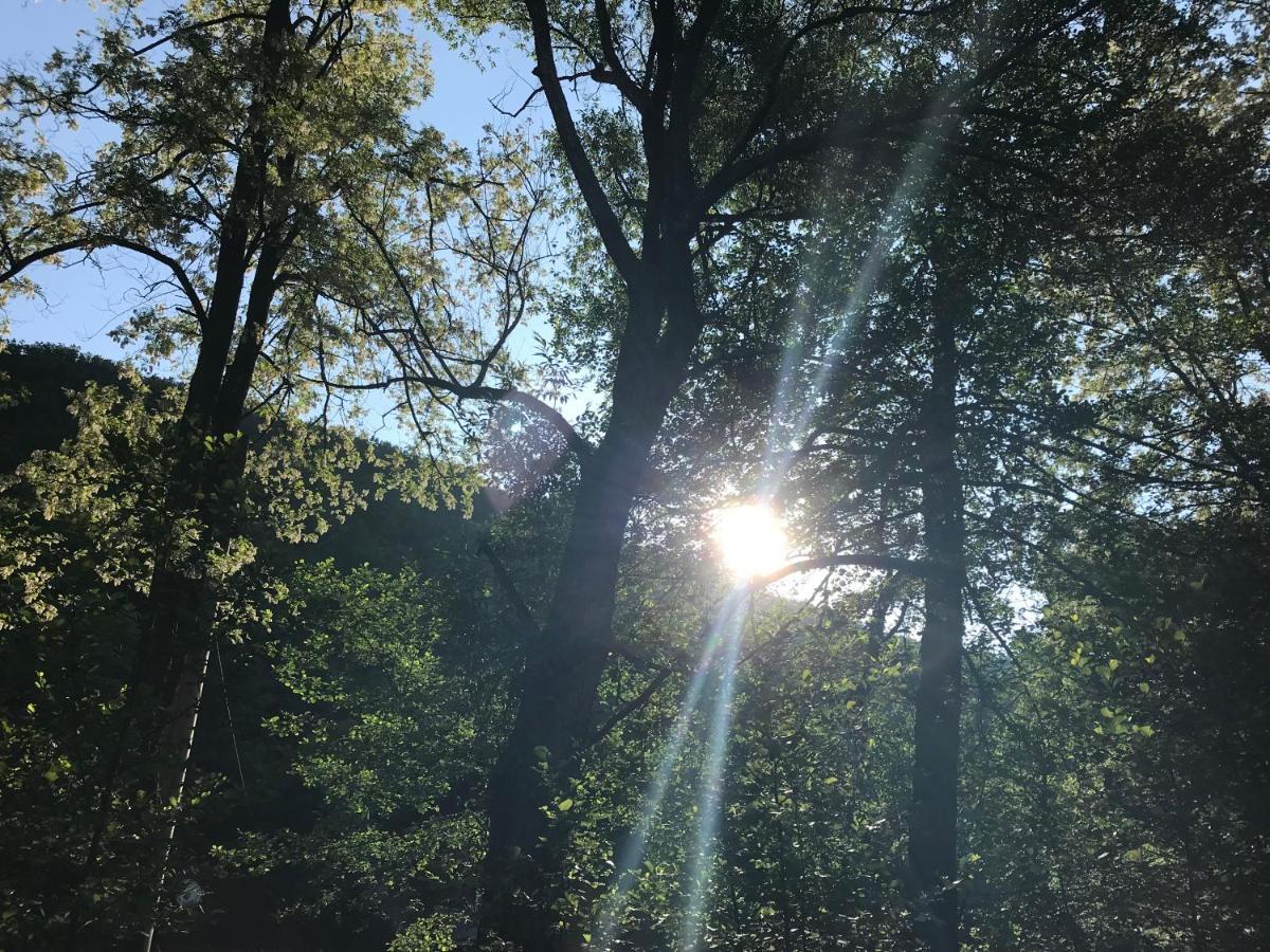 Pensiunea Valea Tonii Strungari Exterior foto