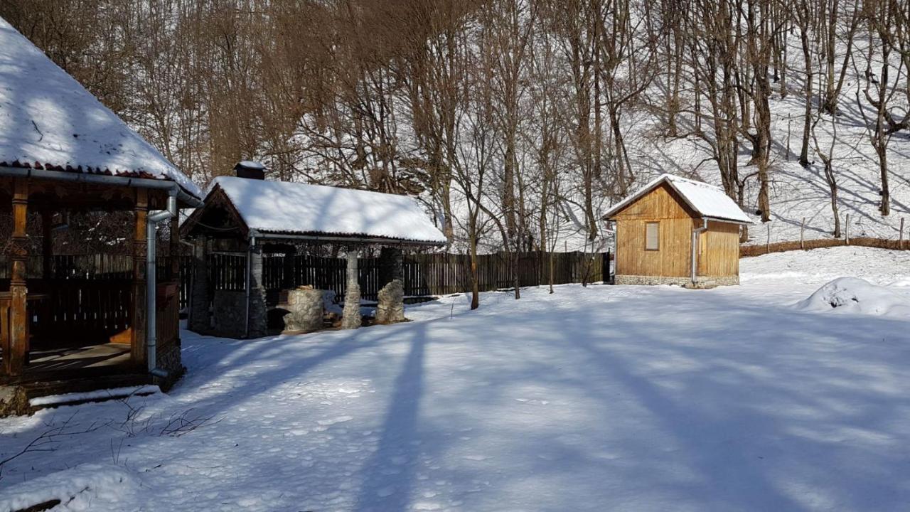 Pensiunea Valea Tonii Strungari Exterior foto