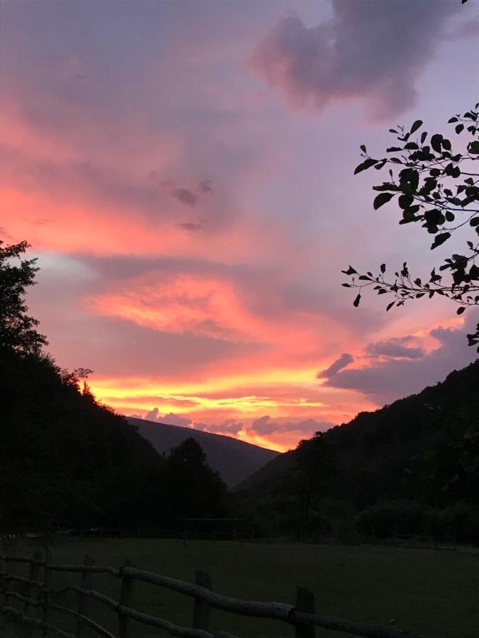 Pensiunea Valea Tonii Strungari Exterior foto